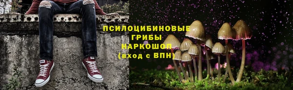 экстази Корсаков