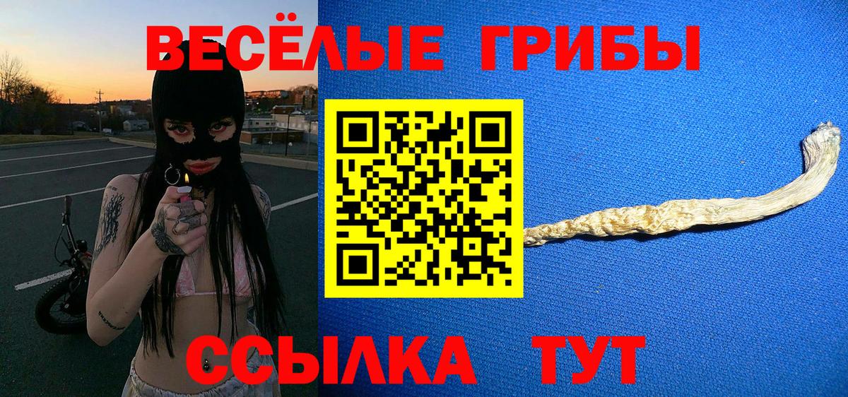 Псилоцибиновые грибы Magic Shrooms  Галлюциногенные грибы Cubensis  хочу   Вход с VPN  Стерлитамак 