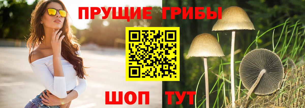 Псилоцибиновые грибы ЛСД Стерлитамак